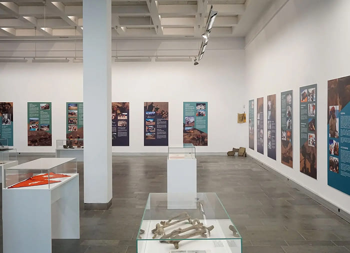 IMMA y registro de Museos de Euskadi